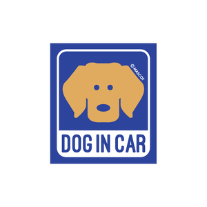 DOG IN CAR 