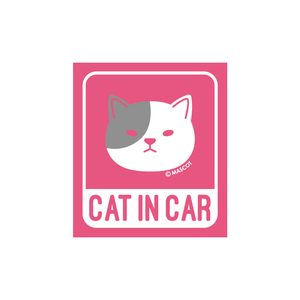 CAT IN CAR 