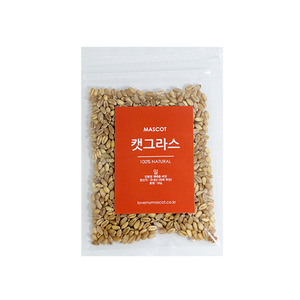 캣그라스 재배용 씨앗 밀 (50g)