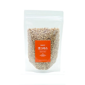 캣그라스 재배용 씨앗 밀 (250g)